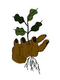 jessicabadofsky hand plant growth grow Sticker