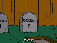 homer simpson crying GIF