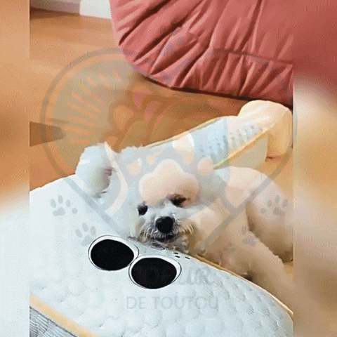 GIF LoulouPlay™ tapis de chien