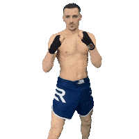 Mma Robin Sticker by Old School Academy