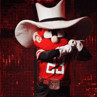 Texas Tech Athletics GIF by Texas Tech Football