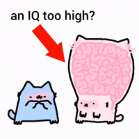 Cat Nub GIF