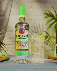 GIF by Bacardi