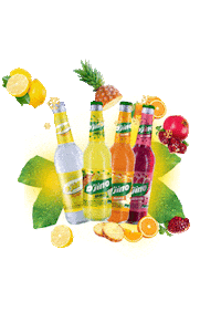 Brasimba beer chill simba biere Sticker