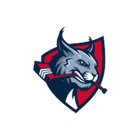 Ice Hockey Sticker by nclwildcatsbuiha