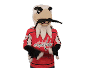 Ice Hockey Sport Sticker by NHL