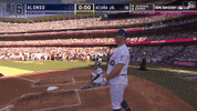 Pete Alonso Sport GIF by MLB