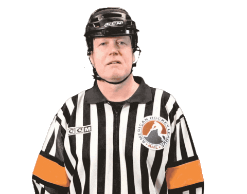 ThunderbirdsAHL giphyupload springfield thunderbirds tbirds Sticker