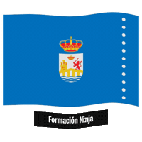 Flag Spain Sticker by Formación Ninja