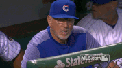 mlb baseball mlb joe cubs GIF