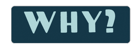 SeeChell giphyupload angry annoyed why Sticker