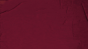 College Baseball GIF by Pearl River Athletics