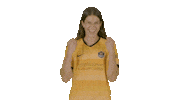 Houston Dash Sport Sticker by National Women's Soccer League