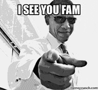 Fam Zoomer GIF