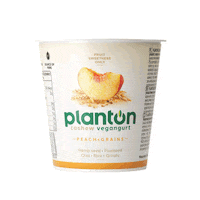 Plant-Based Vegan Sticker by planton