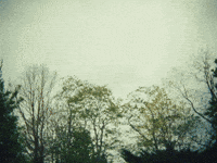 Darling Blue GIF by Marcus King