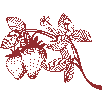 peachstatepride fruit clothing georgia ga Sticker