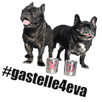 whiskeyandwoof candles xo elle couple goals Sticker