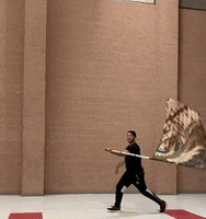 thatguywhospins flag spinning colorguard tatguywhospins GIF