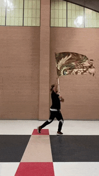 thatguywhospins  GIF