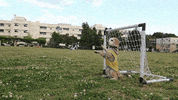 goal puppy GIF