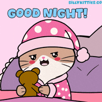 Rest Well Good Night GIF by Silly Kitties
