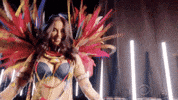 vsfs 2017 GIF by Victoria's Secret Fashion Show