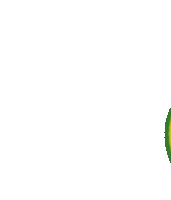 Avocado Sticker by Palta Buena