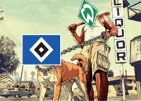 Hsv GIF
