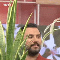 Flower Plant GIF by TRT