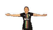 Northern Ireland Football Sticker by Glentoran Women FC