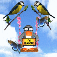 Jealousy Im Jealous GIF