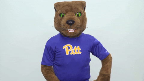 excited college sports GIF by Pitt Panthers