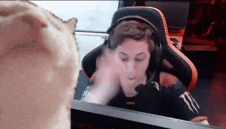 Vct Fnatic GIF by VALORANT Esports