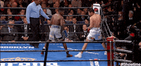 knock out punch GIF by SHOWTIME Sports