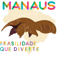 curtamarisol manaus marisol brasilidade Sticker