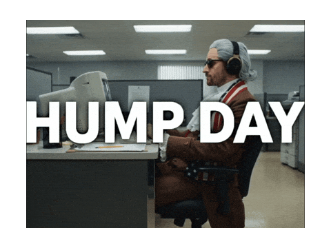 Wednesday Hump Day Sticker