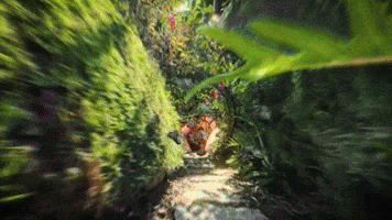 3D Splat GIF by Paul Trillo