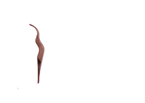 lashifylife giphyupload wand lashify idieforlashify Sticker