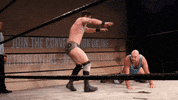 SHWAWrestling wrestling perth pro wrestling southern hemisphere wrestling alliance shwa GIF