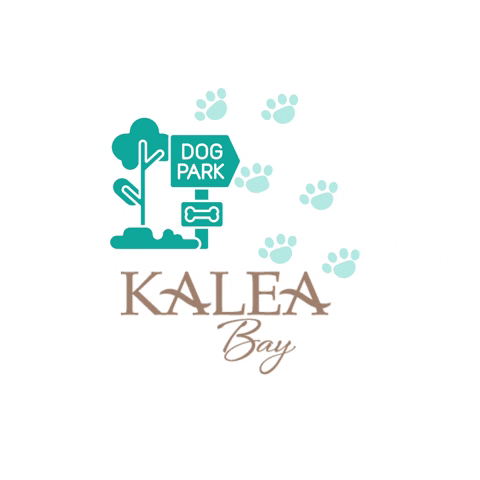 Kaleabay giphyupload GIF