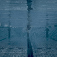 Summer Swimming GIF by 2XU