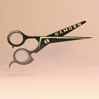 ukukust camden alexissors camdenstudio GIF