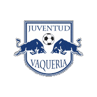 Futbolsanjavier Sticker