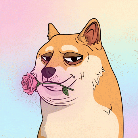 Shiba Inu Flirting GIF by Doge Pound