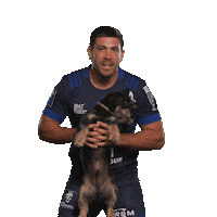 ColomiersRugby colomiersrugby Sticker