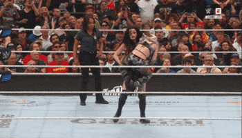 Wwe Wrestling GIF