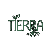 Tribu Sinergia Sticker by Sinergia Tribu