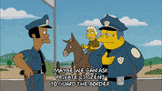 Season 20 Horse GIF by The Simpsons