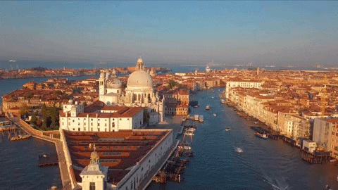 BaeBees giphyupload italy europe venice GIF